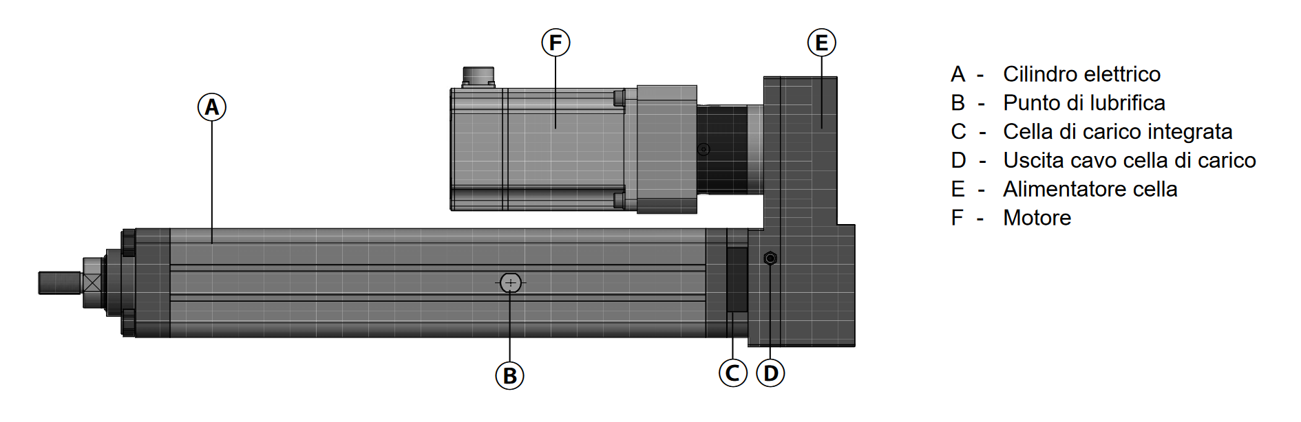 schemi-duplomatic.png